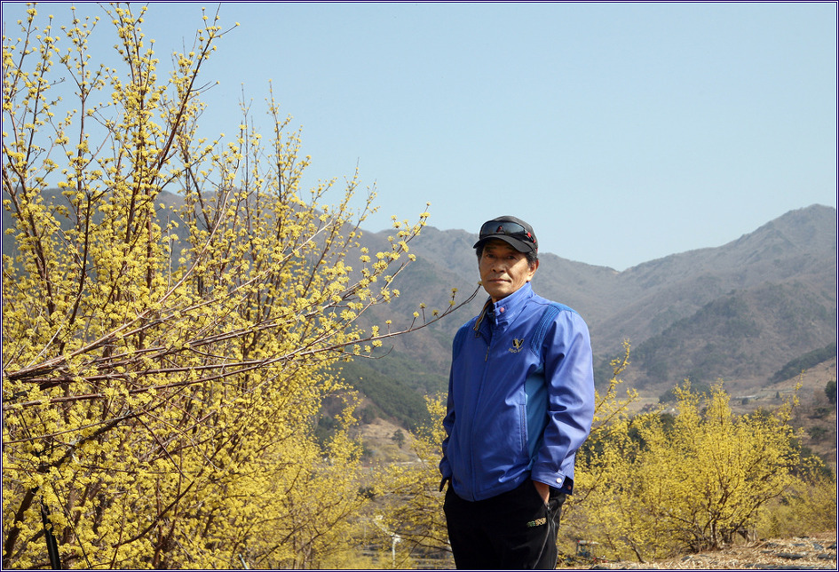 구례 산수유마을