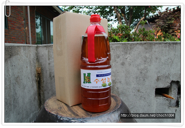 [종료] 광양매실 남고 황매 판매합니다