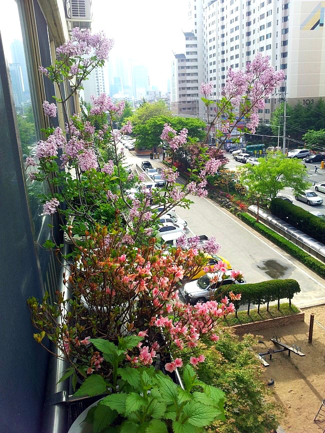 정*원 이미지