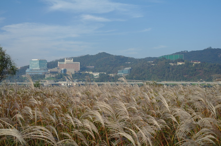 잔잔한 일상을 위한 기도
