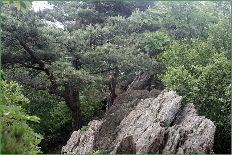 칼바위 능선 이미지
