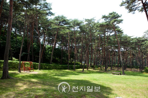금강수목원 이미지