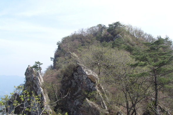 금수산뷔페 이미지