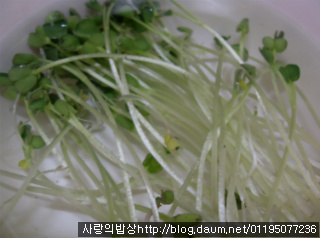 바쁜아침 웰빙식으로 해결! 새싹채소회덮밥과 바지락탕>_