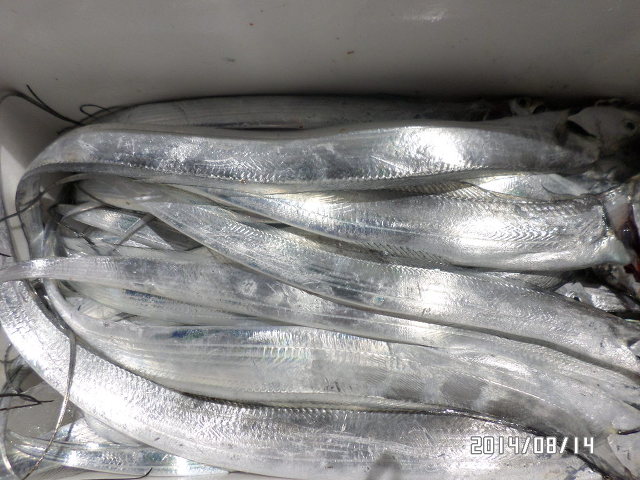 2137BB4453EC082C1AAF59