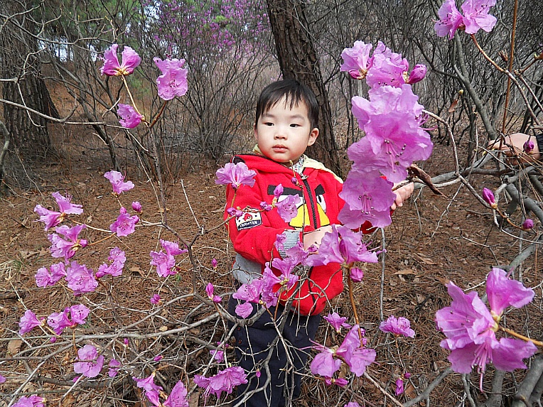 보리고개 이미지