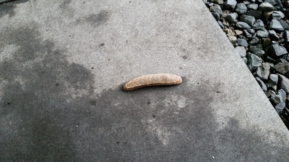 신자유식당 이미지