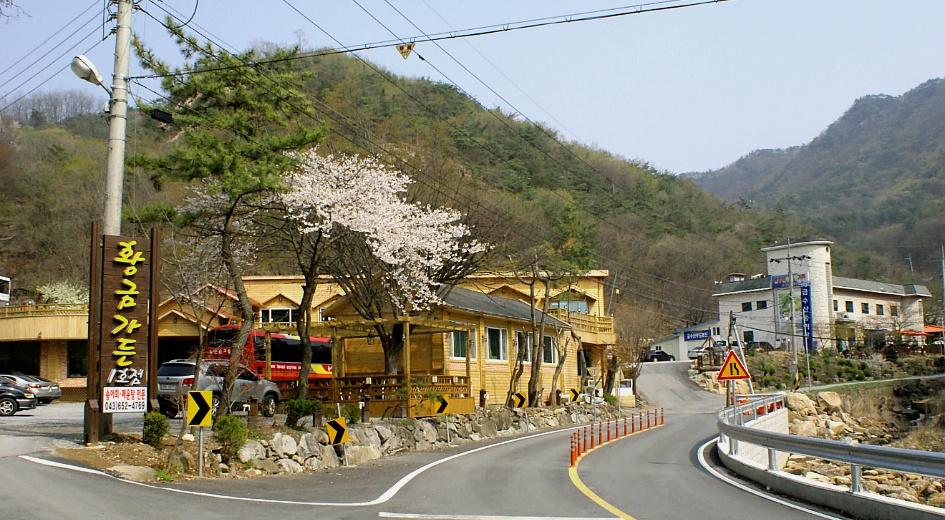 황금커피숍 이미지