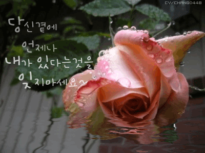 224A5B435542B833112190