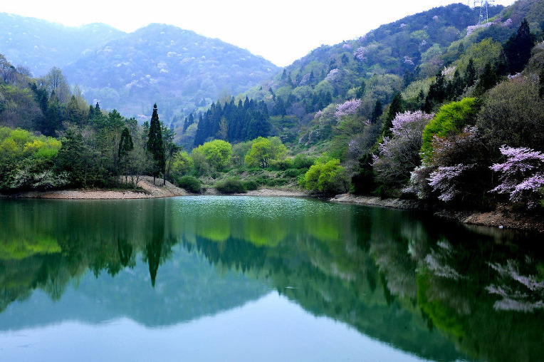 224CDB4952A50E01139388