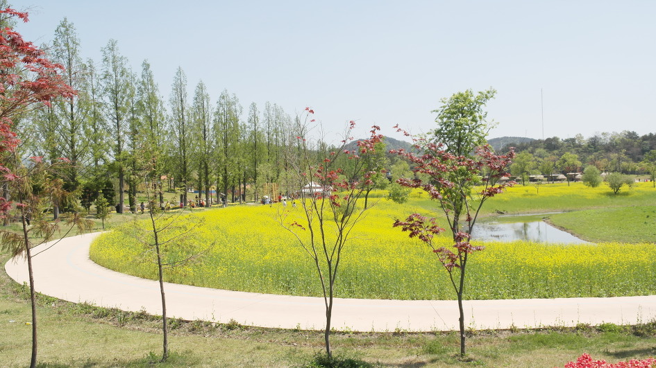 순천만정원 꽃구경 한번 더...