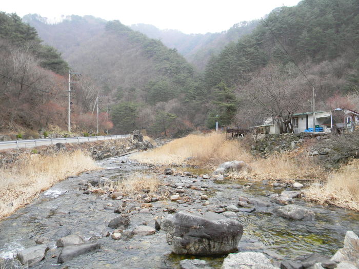 영월 김삿갓유적지 마무리 (마포천, 섶다리)