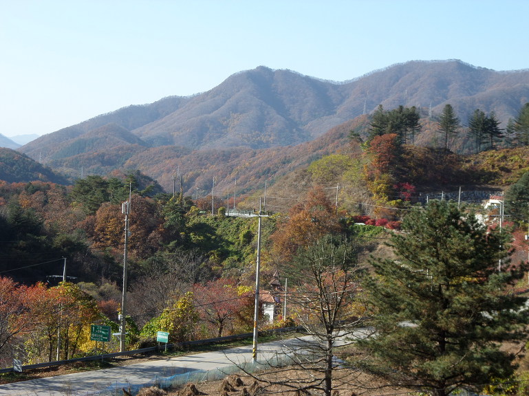 카르페 이미지