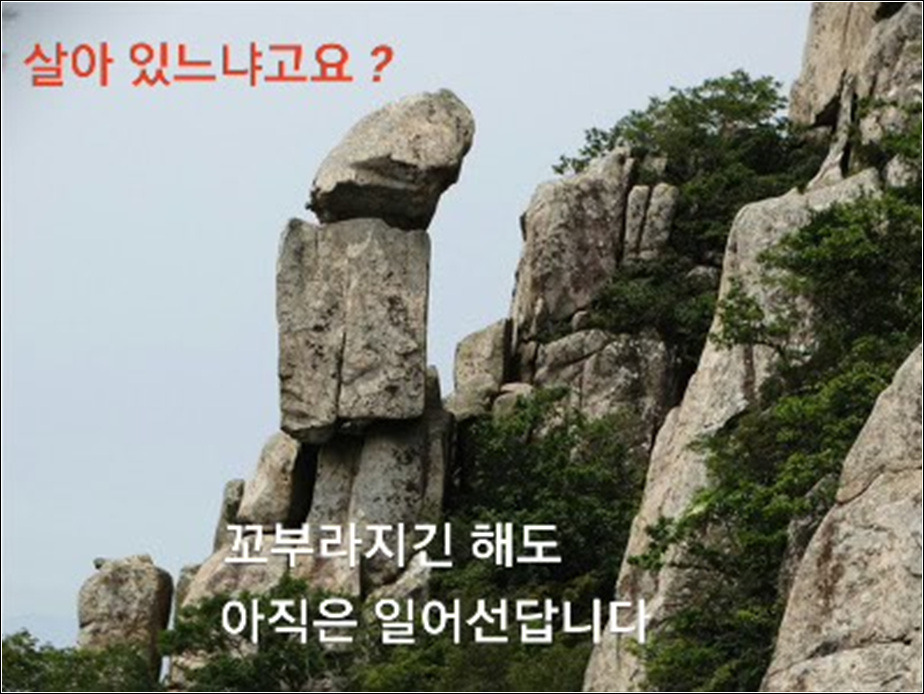 살아 있느냐고요?
