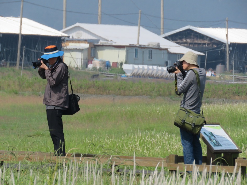 전라도 여행지, 느리게 걸으면 행복해요. 신안증도 태평염생식물원