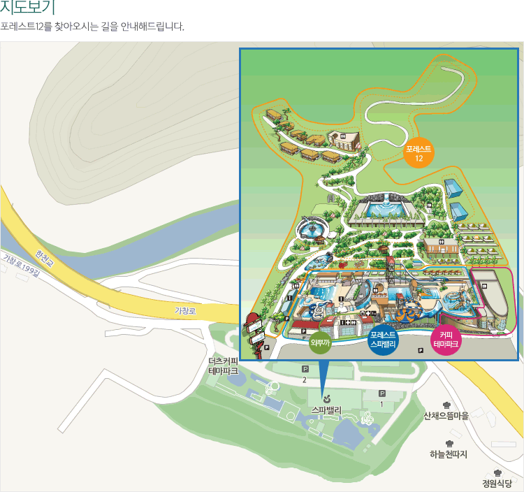 포레스트12 이미지