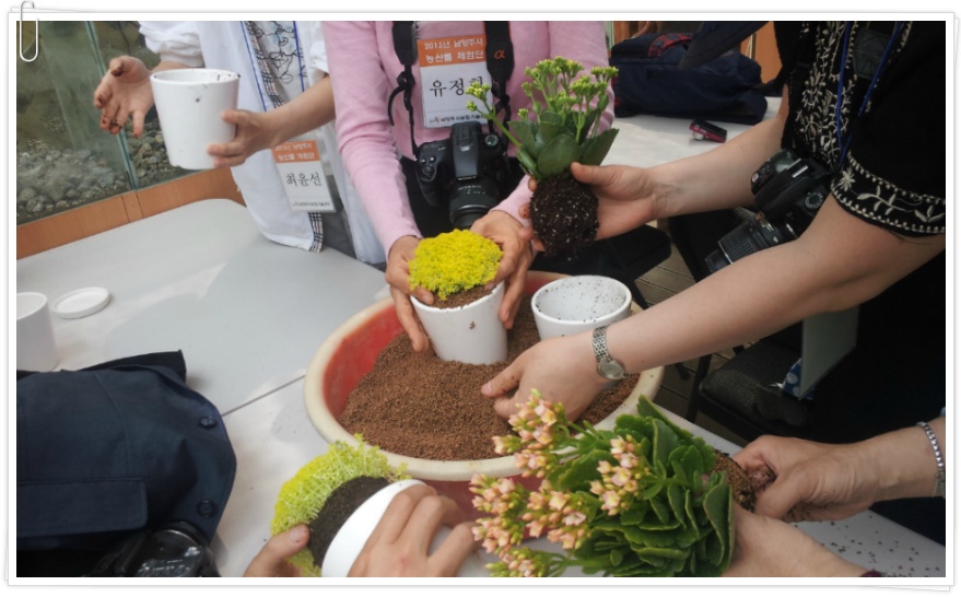 [남양주 가볼만한 곳] "산촌꽃마루" 캠핑장과 야생화 가득 핀 하늘 정원이 아름다운 곳