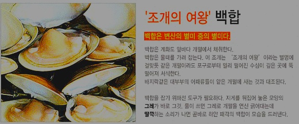 조갯집 이미지