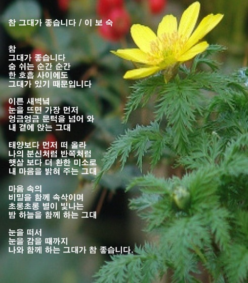 태가 이미지