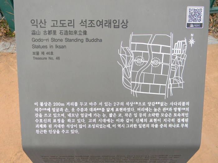 서로 애타게 바라보고 있는 익산 고도리 석불입상 (석조여래입상)