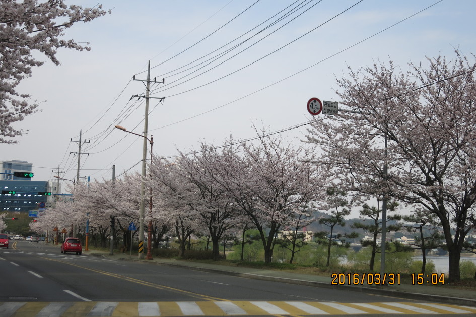 경상대학병원 이미지