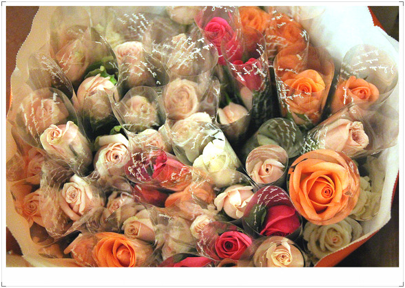 2564F33F5482FEBB36C59F