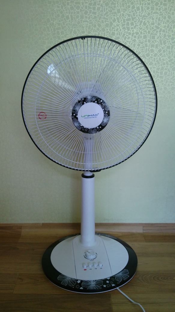 선풍기 사용후기^^;; - 놀이기구 타는 딱정벌레