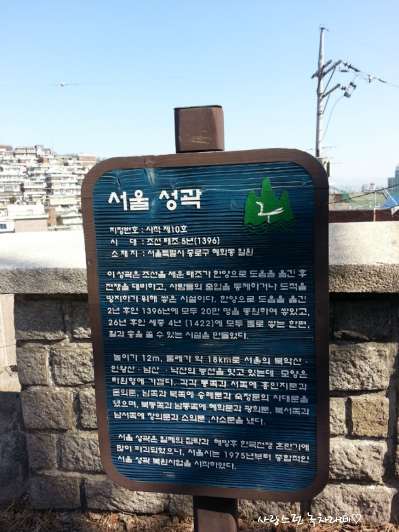 봄이화 이미지