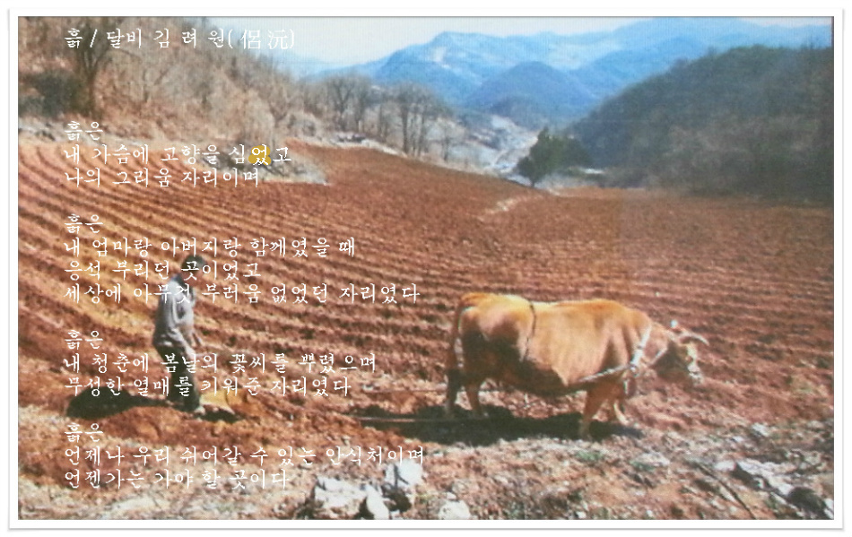 달비 이미지