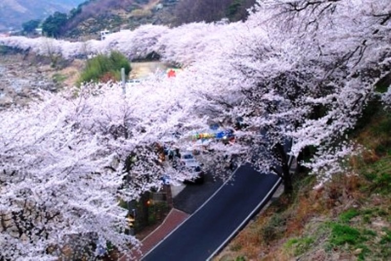 263AD94956FE808B1AAF5F