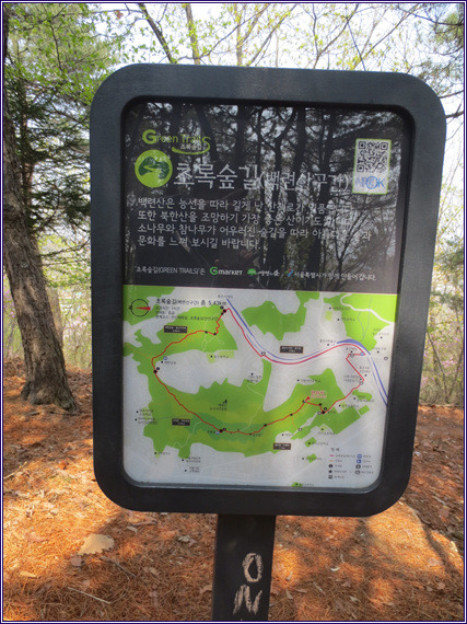 초록숲 이미지