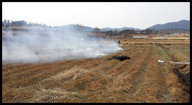 2014년 3월 8일 미니호박과 콩농사 준비 쥐불놀이~ㅎ