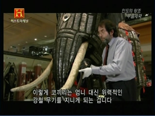 인도의 무굴 제국에서 사용한 전투 코끼리 갑옷 | 인스티즈