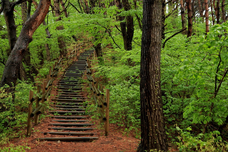 * 지리산 바래봉 산행기 