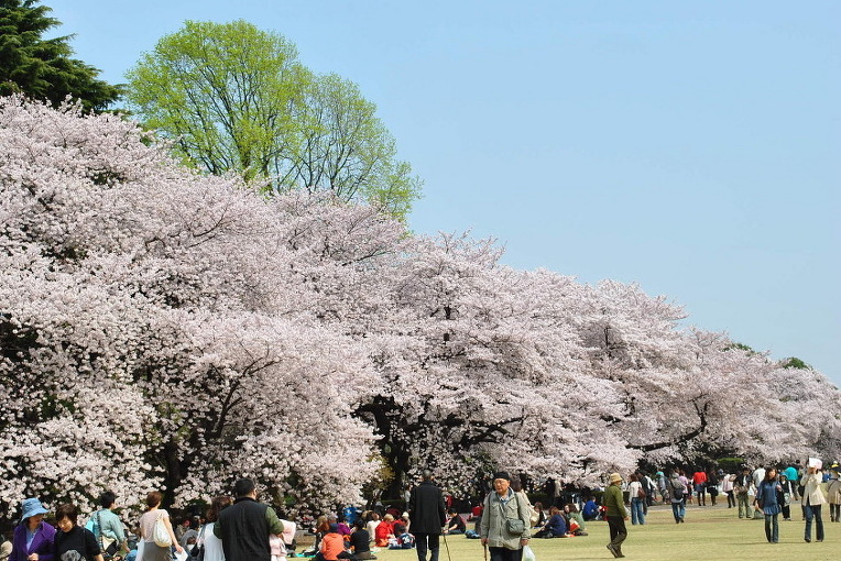 2703DD4D52A50E1414D089