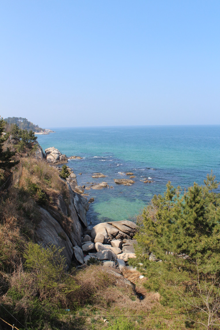 중앙수산 이미지