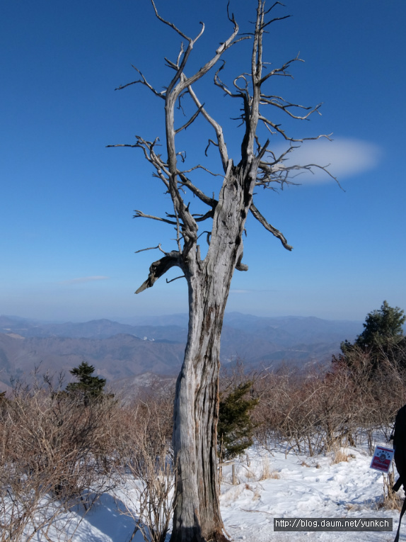 태백산맥 이미지