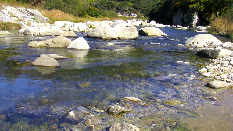 271C2648544B849C1FF6E2