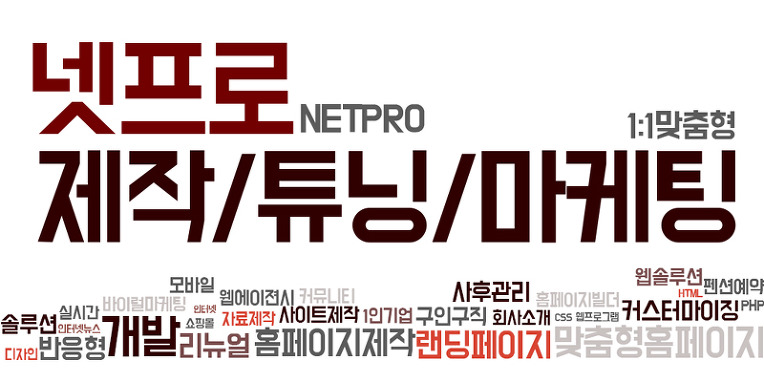  넷프로(NETPRO) — 관리형 홈페이지의 선두주자!!