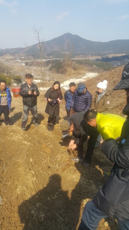대명농산물유통 이미지