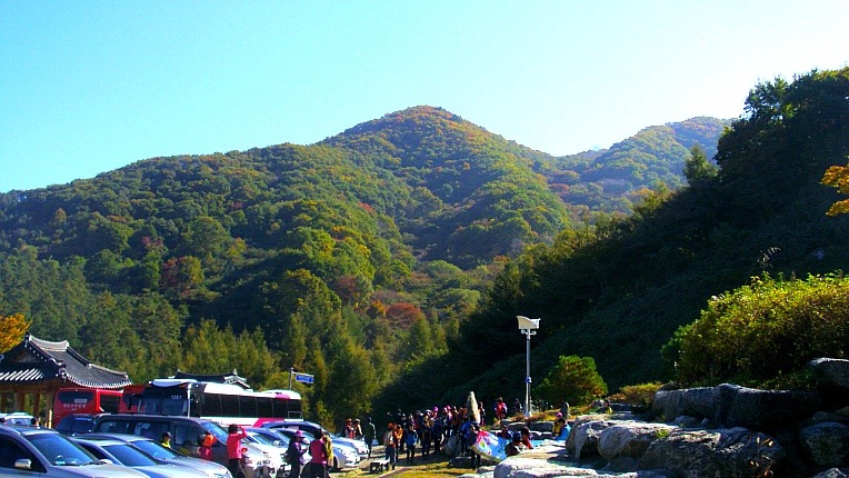 27638D43526D232B0B0287