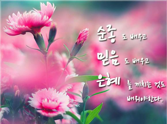 [성경구절찾기] 삼가 말씀에 주의하는 자는... (잠 16:20)