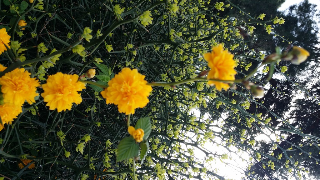 뿌니! 흔적~~사진