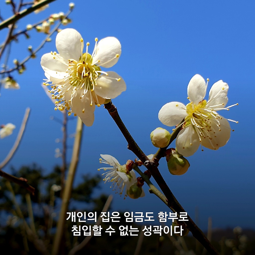 벗의 가면을 쓴 사악한 사람과 
