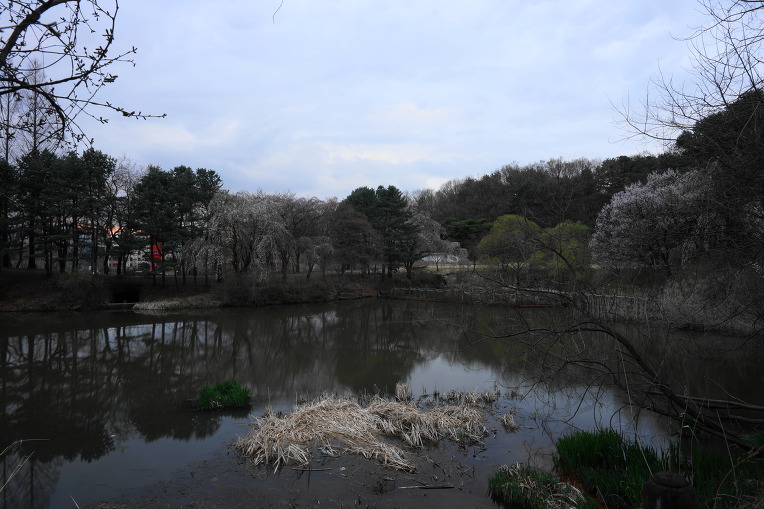 비룡지. 구(舊)경찰대학교. 용인시(龍仁市)