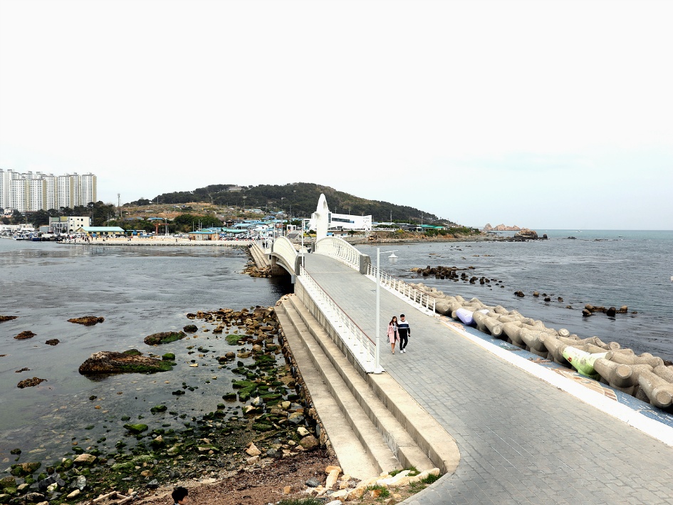 *울산 대왕암 트레킹* 