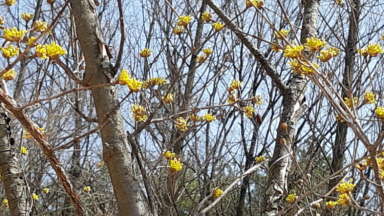 기업인의 경영이야기... 성공한 사람들의 의사결정 방법