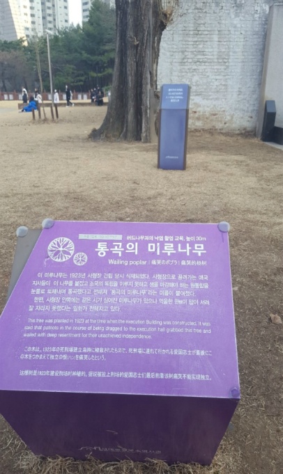 3.1 절  국립  서울 현충원  나들이 ...