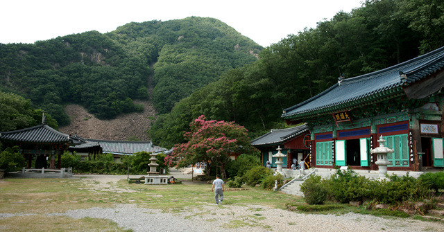 반야사