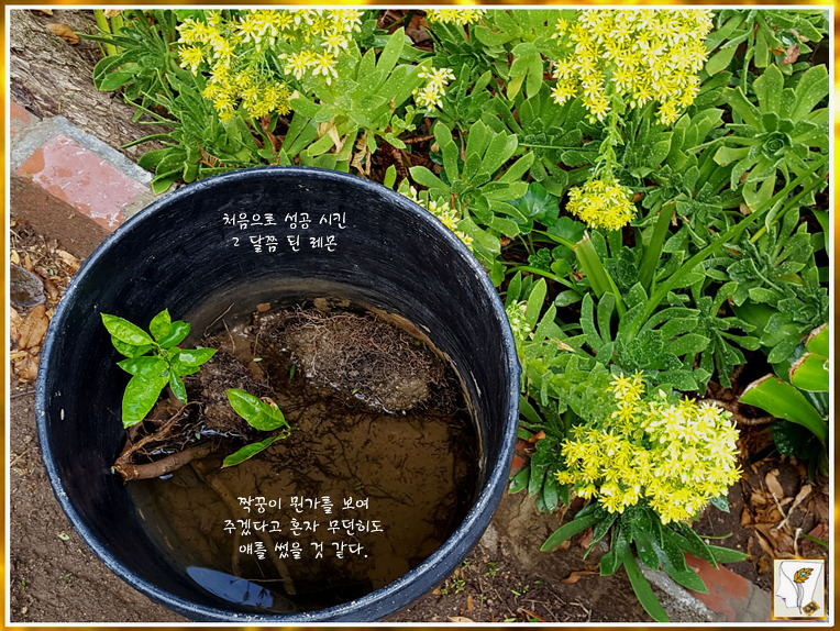 30 년 됐네